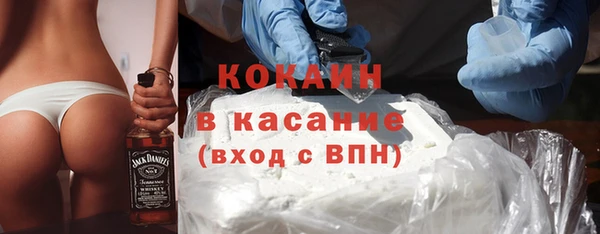 сатива Пересвет