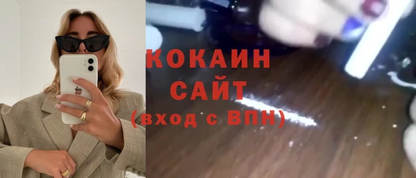 сатива Пересвет