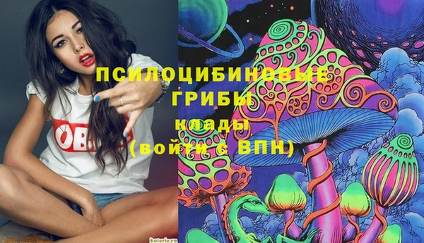 сатива Пересвет
