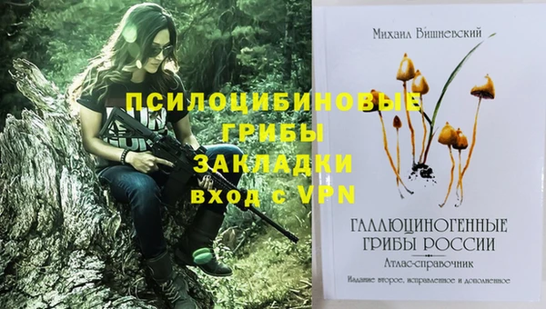 сатива Пересвет