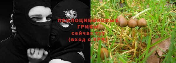 синтетический гашиш Пестово