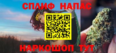 стафф Кандалакша