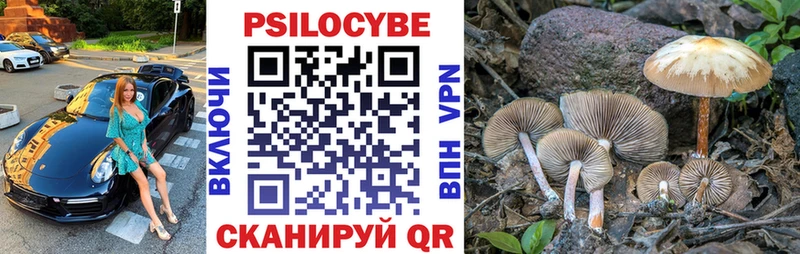 Псилоцибиновые грибы мухоморы  цена наркотик  Россошь 