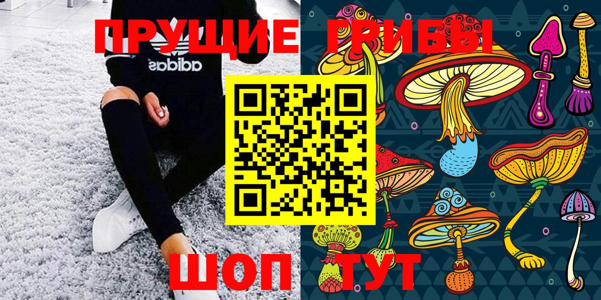 Псилоцибиновые грибы MAGIC MUSHROOMS  Вход с VPN  Россошь 