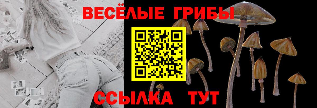 Галлюциногенные грибы MAGIC MUSHROOMS Россошь